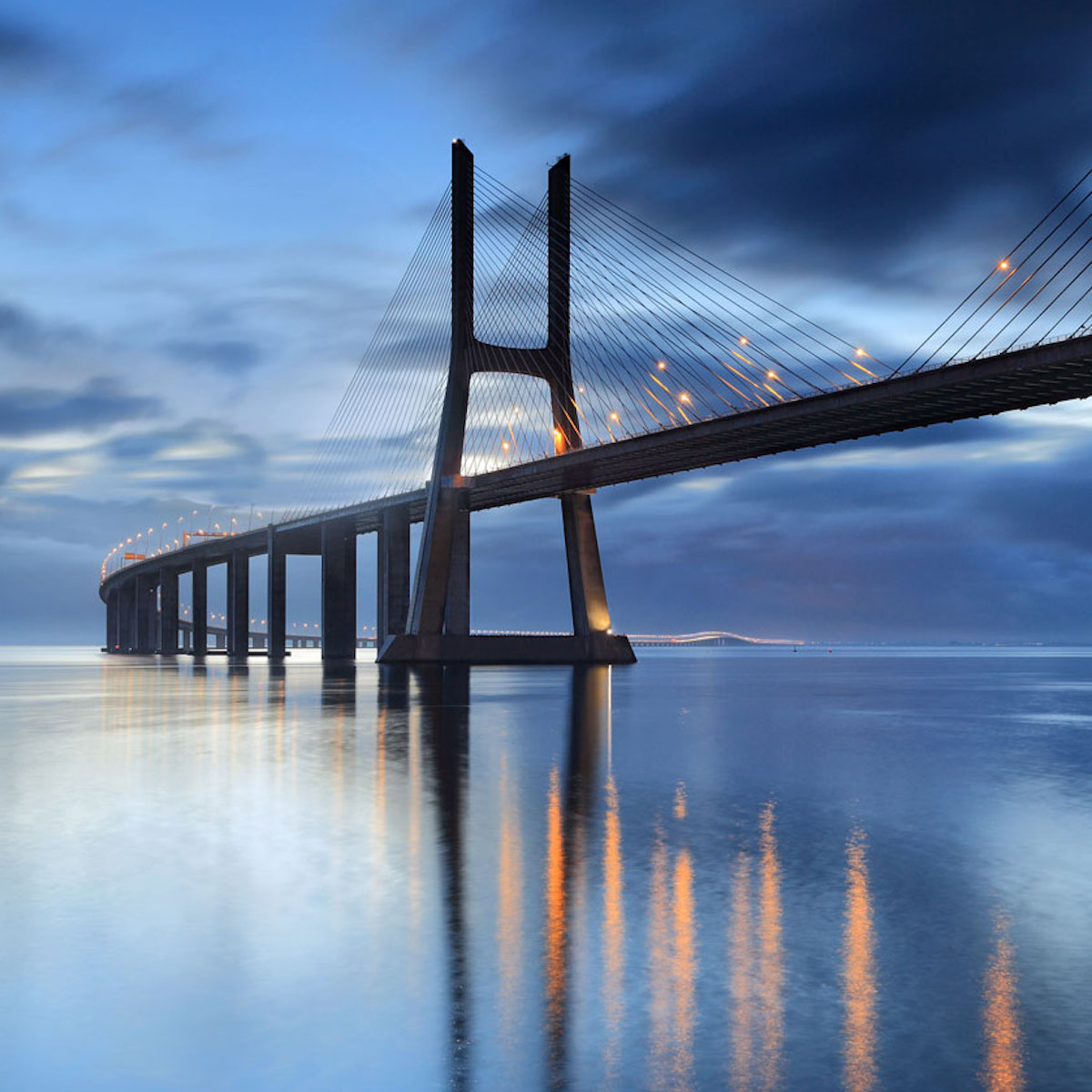 TransPerfect Life Sciences